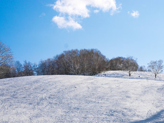 北海道のスキー場 / 雪景色