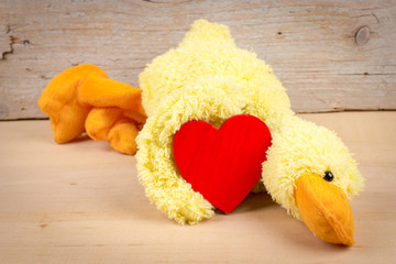 Red heart and funny duck in love for Valentine's Day
