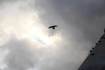 Mosque domes of Konya