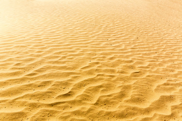 Sands of the desert