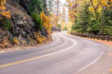 Sequoia National Park Road. California, United States.