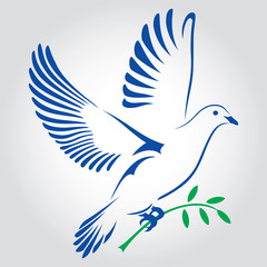 Flying dove  with a green twig. Dove Of Peace. Vector illustration.