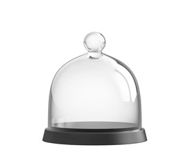 Glass bell jar