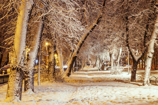 Снежные сугробы в парке