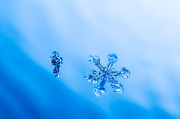 snowflake crystal natural macro