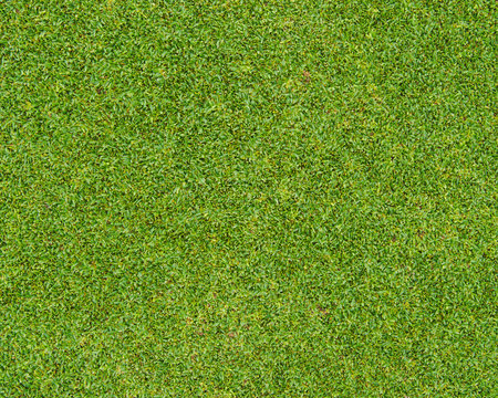 green grass pattern