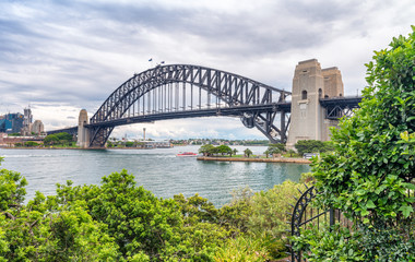 Sydney Harbour Bridge framed by vegetation