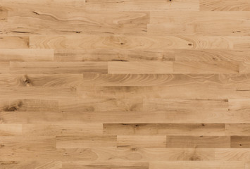 background of Birch wood surface