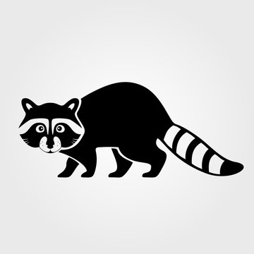 Raccoon icon isolated on white background.