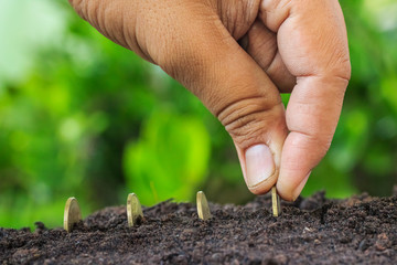 Money growth concept coins in soil