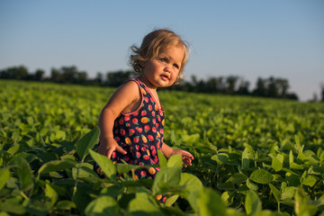 Little girl in flower fields