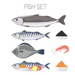 fish set meat fresh delicious ecological
