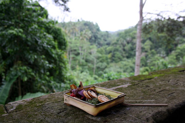 canang sari Balinese offerings with jungle background