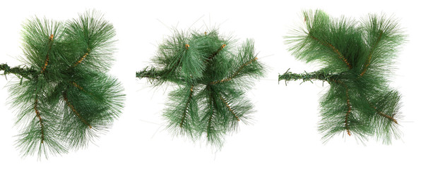 A branch of an artificial Christmas tree on a white background