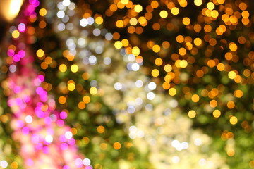 Christmas  lights