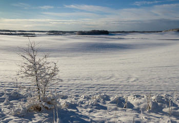 Countryside  landscape.