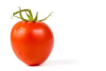 fresh tomato on white background.