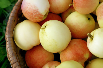 tasty apples