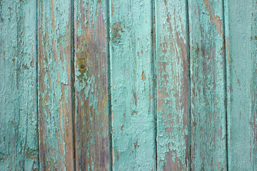 Blue wooden background.