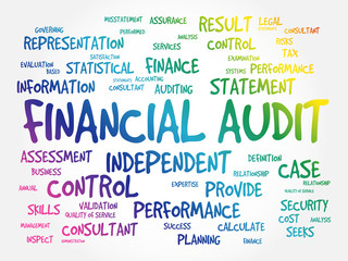 Financial Audit word cloud collage, business concept background