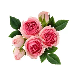 Cercles muraux Roses Pink rose flowers arrangement