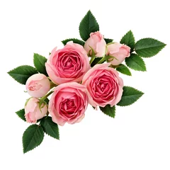 Photo sur Plexiglas Roses Composition de fleurs roses roses