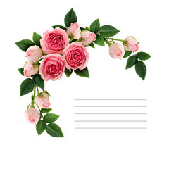 Obraz premium Pink rose flowers and buds corner arrangement