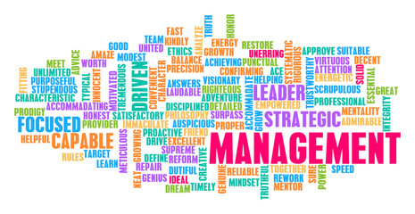 Management Word Cloud Concept