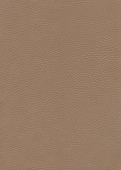 full frame leather background