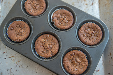 Schokoladenmuffins