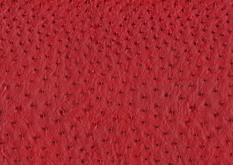 ostrich leather surface