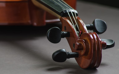 Part of a Violin