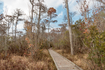 Madisonville, Louisiana