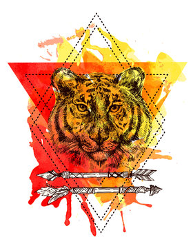 face of tiger illustration
