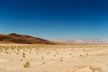 Fototapeta na wymiar Lifeless landscape of the Death Valley