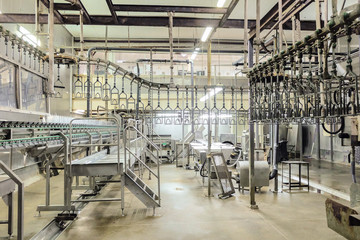 Empty butchering workshop poultry with overhead conveyor. Poultry processing plant line. Production...