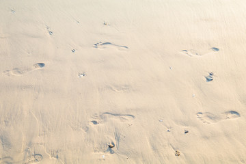 human footprints in sand on the beach