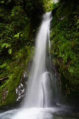 Fototapeta na wymiar Waterfall in New Zealand