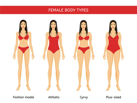 Set of Female body types: fashion model, athletic, curvy and plus size