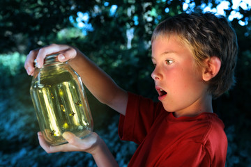 Boy with a jar of fireflies