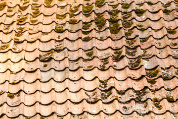 Closeup of red roof tiles with green dust