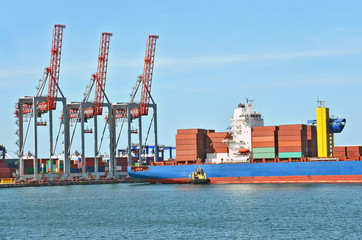 Cargo crane and ship