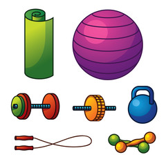 Vector set of equipment for gym. Colorful icons of  equipment for fitness workout.