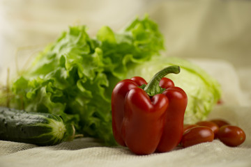 Tomato, bell pepper, cucumber ,lettuce