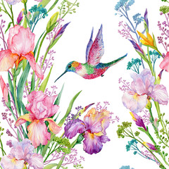 Fototapety  kwiaty tęczówki i kolibry .akwarelowy wzór bez szwu