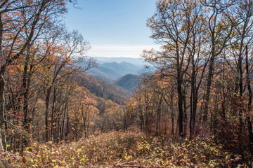 Autumn atthe the Great Smoky Mountains National Park
