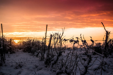 Fototapeta premium Winter sunset