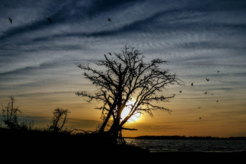 Fototapeta na wymiar Silhouette Sunset