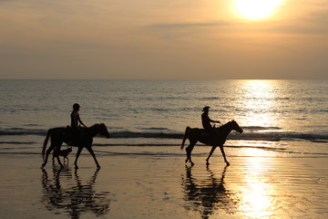 Horseride on the thai beach