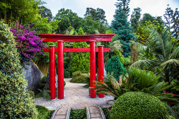  Île de Madère - Jardins tropicaux de Monte Palace